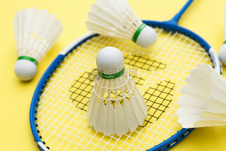 从南方出发 从南方出发