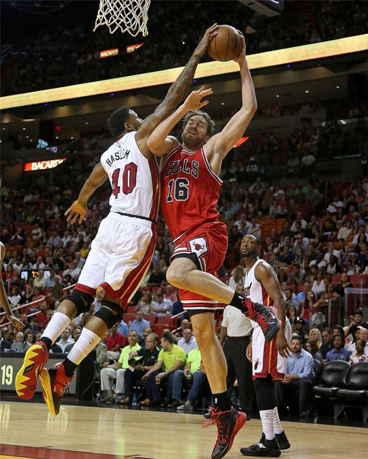 团队的共同 团队的共同