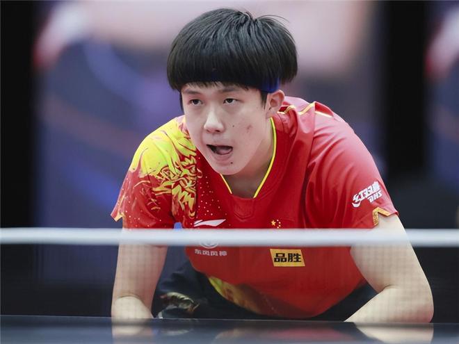 得德国杯冠 得德国杯冠